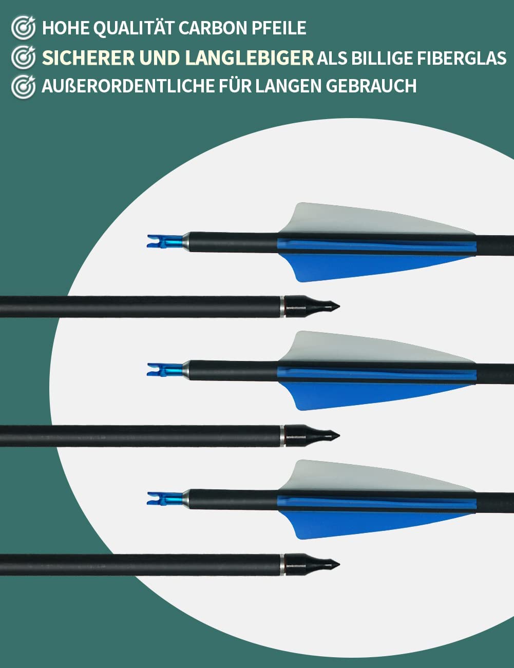 ArcheryMax 12pcs Mixed Carbon Arrows 31In Target Practice Hunting Arrows (Only Accept German Address))