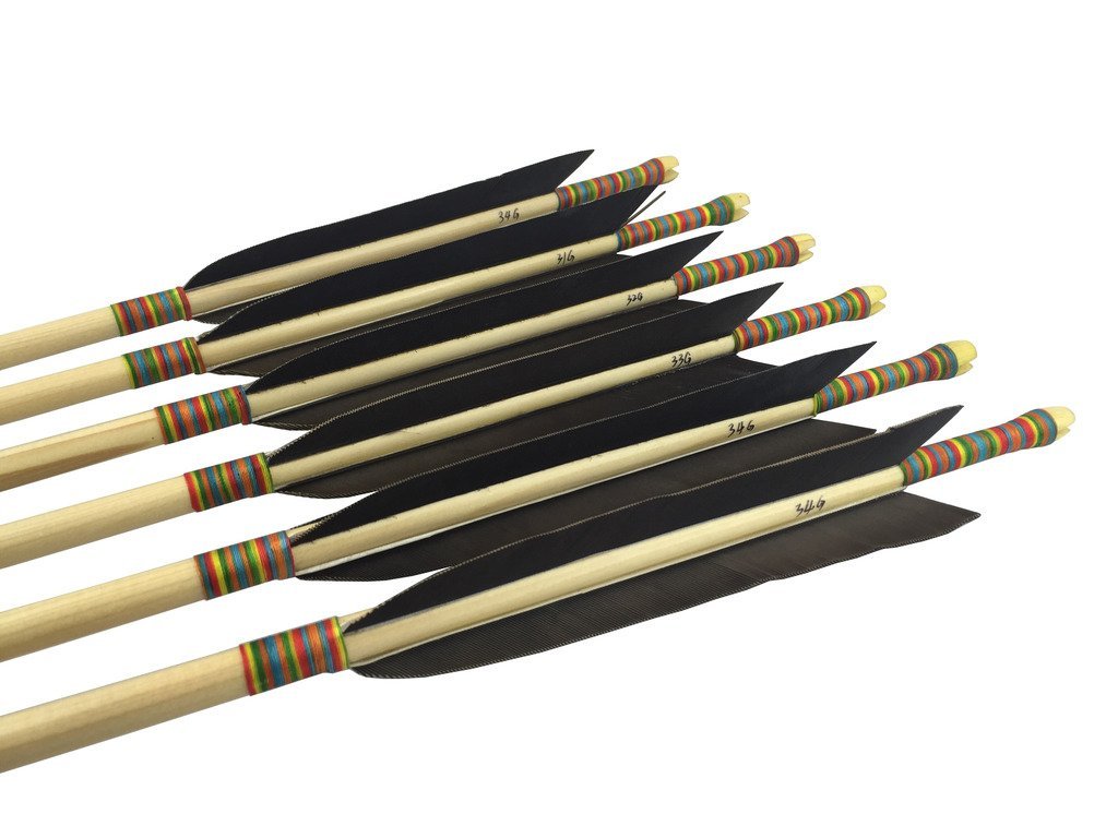 Archery Arrow and Quiver Set 12pcs Fletched Carbon Arrows with