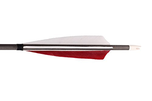 Archery Target Carbon Arrows 12 Pcs-free shipping