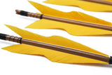 Turkey Feathers Bamboo Shaft Target Practice Arrows-FREE SHIPPING