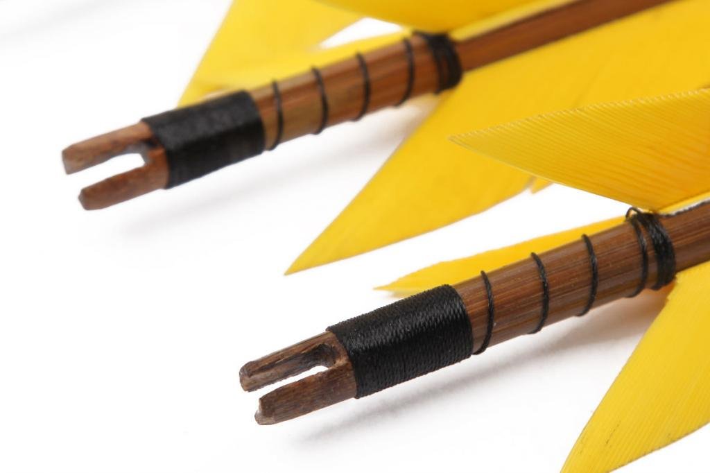 Turkey Feathers Bamboo Shaft Target Practice Arrows-FREE SHIPPING