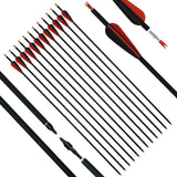 ArcheryMax 12pcs 31IN Mixed Carbon Arrows（Only Accept US Address）