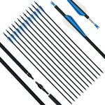 ArcheryMax 12pcs 31IN Mixed Carbon Arrows（Only Accept US Address）