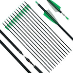 ArcheryMax 12pcs Mixed Carbon Arrows 31In Target Practice Hunting Arrows （Only Accept German Address））