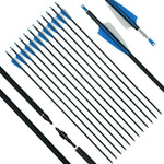 ArcheryMax 12pcs Mixed Carbon Arrows 31In Target Practice Hunting Arrows （Only Accept German Address））