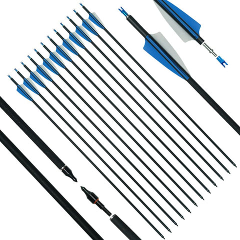 ArcheryMax 12pcs Mixed Carbon Arrows 31In Target Practice Hunting Arrows （Only Accept German Address））