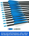 ArcheryMax 12pcs 31IN Mixed Carbon Arrows（Only Accept US Address）