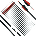 ArcheryMax 12pcs Mixed Carbon Arrows 31In Target Practice Hunting Arrows （Only Accept German Address））